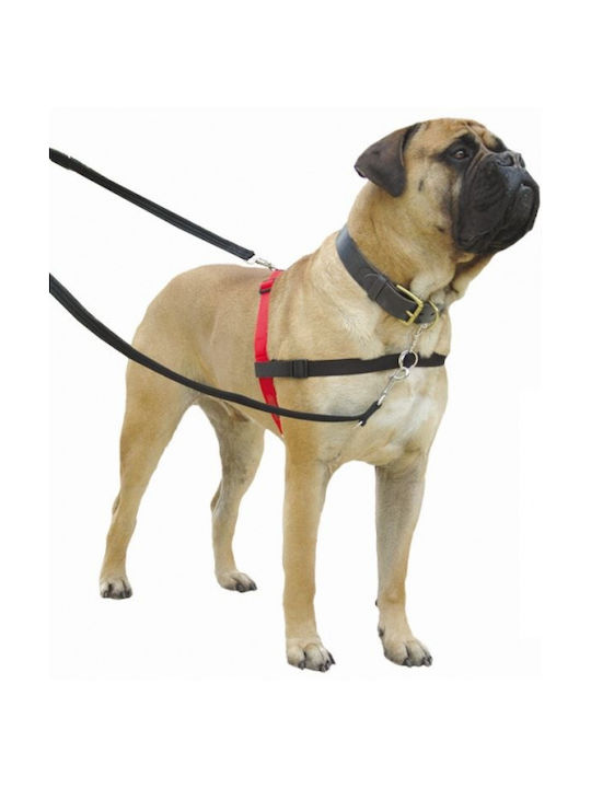 Halti Dog Harness Harness Medium Black/Red Red Medium 109356