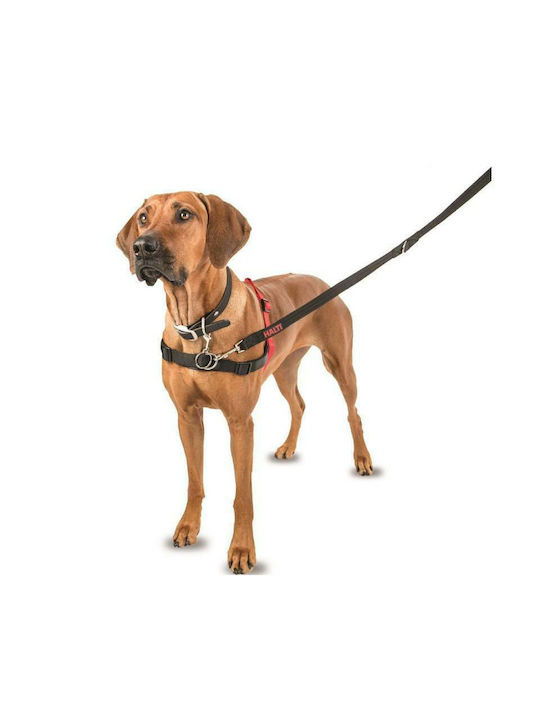 Halti Harness Small Black/Red