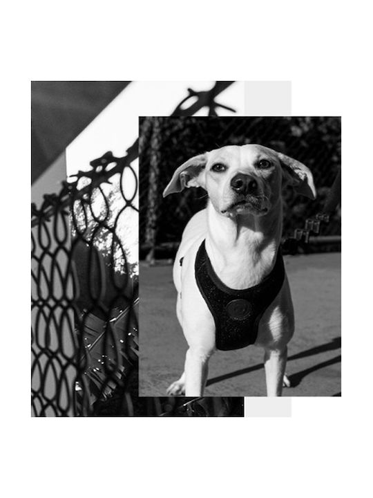 Zee-Dog Hundegeschirr Weste Air Mesh Hundegeschirr Mittelgroß Schwarz Schwarz Mittel 702689