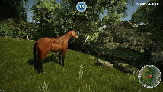 Animal Doctor PS4 Game