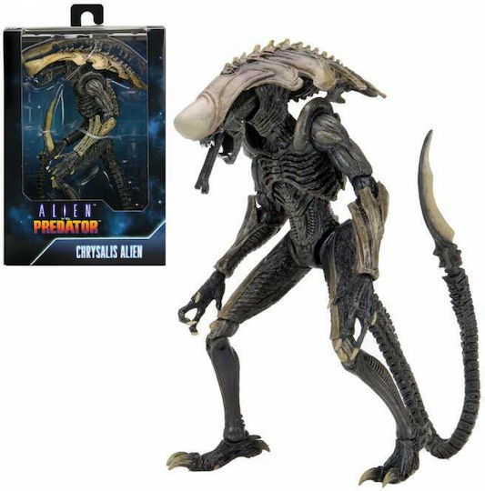 Neca Alien vs Predator: Chrysalis Chrysalis Action Figure height 18cm