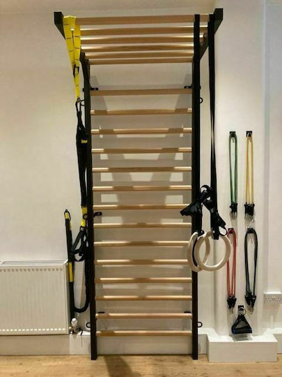 Artimex Sport Spartan Einzelstange Sprossenwand Bank für Benutzer bis 135kg