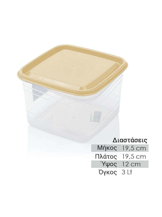 Lunchbox Kunststoff Beige 3000ml 1Stück