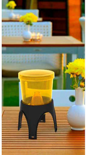 Wasp Trap Παγίδα για Μύγες
