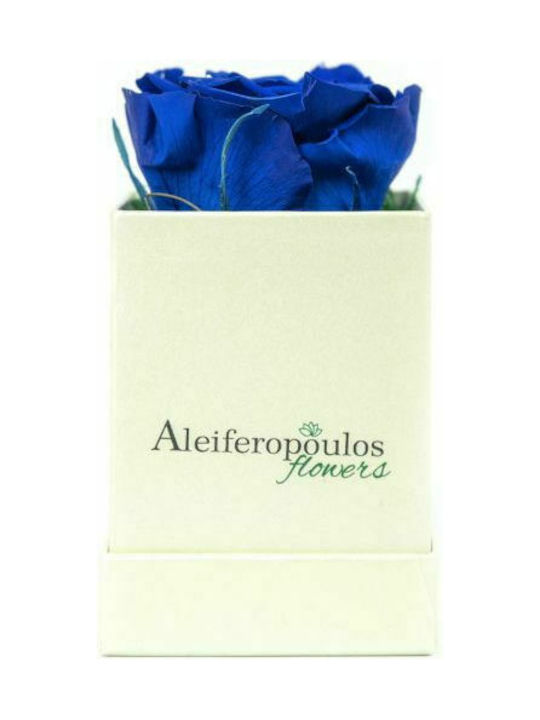 Aleiferopoulos Flowers Ewige Rose Blue 9cm in Box 1Stück