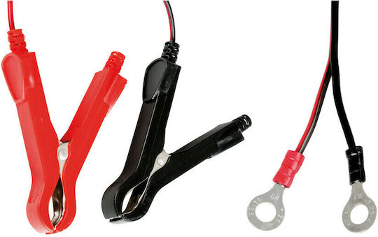 Lampa Amperomatic Bike Ladegerät & Erhalter Batterien Auto & Motorrad 6/12V