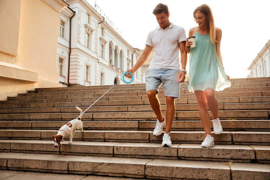 WauDog Foldable Dog Leash/Lead Strap Ring Shaped Lime Green XS-M in Green color 2.9m up to 40kg