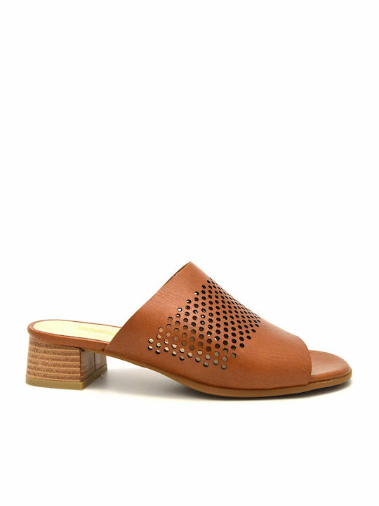 Leather Mules with Chunky Low Heel in Tabac Brown Color