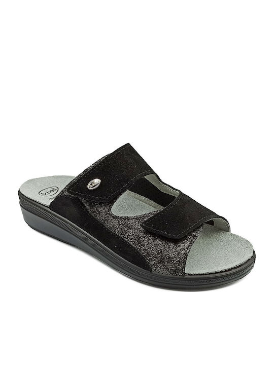 Scholl