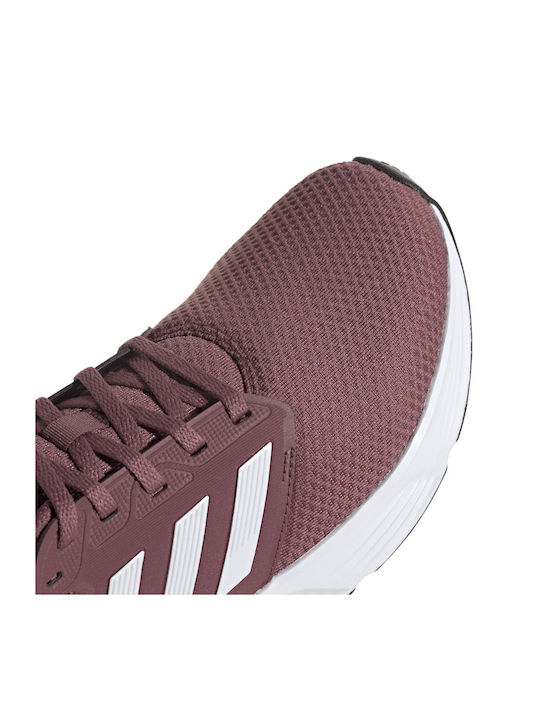 Galaxy 6 Herren Sportschuhe Laufen Braun
