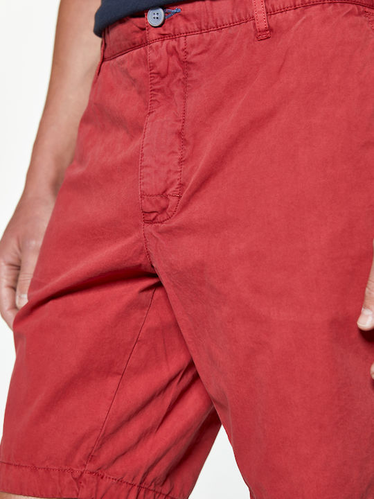 RedGreen Bermuda Chino Bermuda shorts - Red