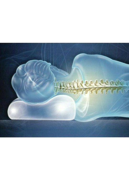 Thuasne Visco Elastic Μαξιλάρι Ύπνου Memory Foam Ανατομικό 32x50x8cm