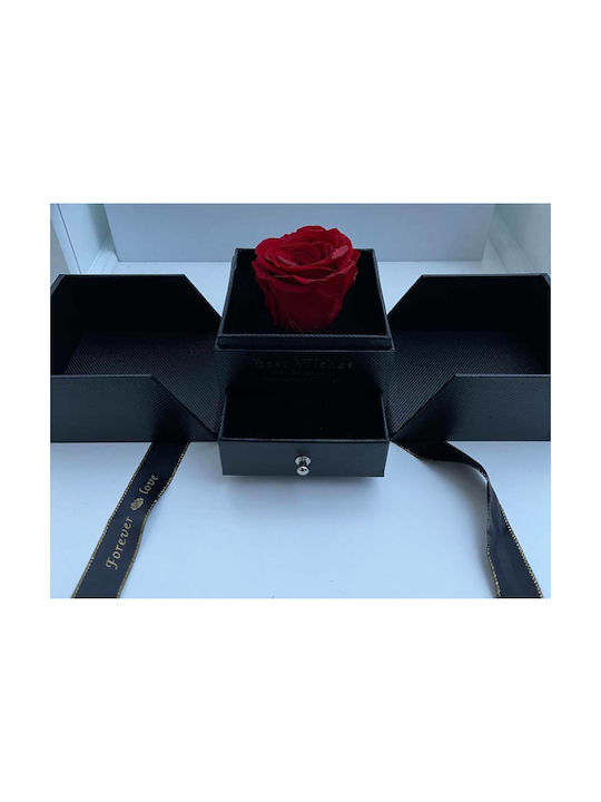 Eternal Rose Red 11cm in Box Trampolino