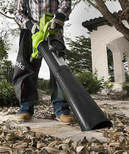 Greenworks GD40BVK4 Gartenlaubbläser Handheld mit Volumenregulierung