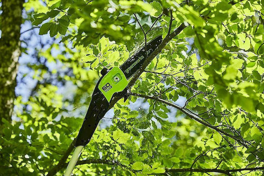 Greenworks GD60PS25 Teleskopisches Bügelsäge Akku 60V Solo Gesamtlänge 280cm und Klinge 25cm
