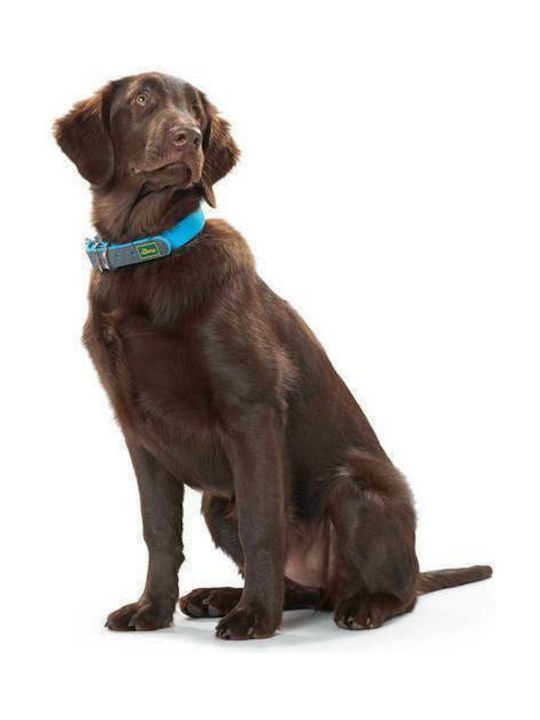 Hunter Convenience Dog Collar XLarge 25mm x 42 - 50cm (Various Colors)