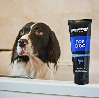 Animology Top Dog Dog Conditioner 250ml