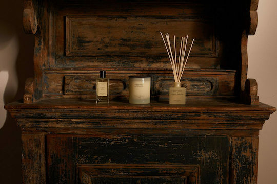Cereria Molla Diffuser with Fragrance Bulgarian Rose + Oud 1324 100ml