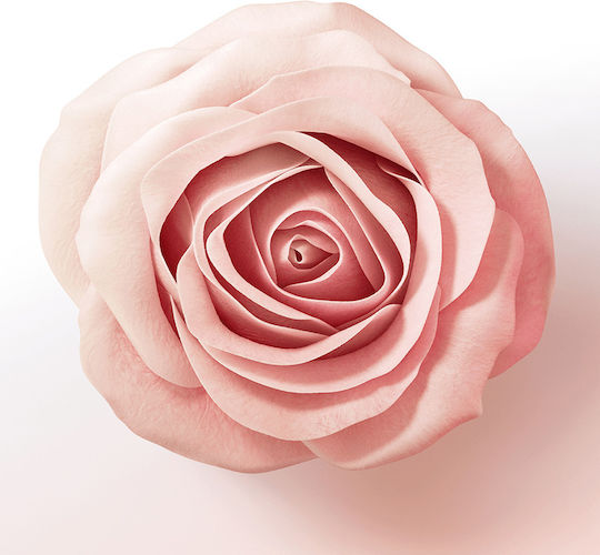Pantene Pro-v Miracles Biotin & Rose Water Sampon de Par Volum și Strălucire pentru Toate Tipurile de Păr 300ml