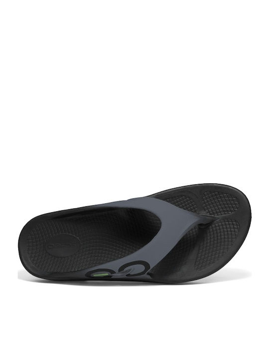 1001 Ανδρικά Flip Flops Ανατομικά Γκρι