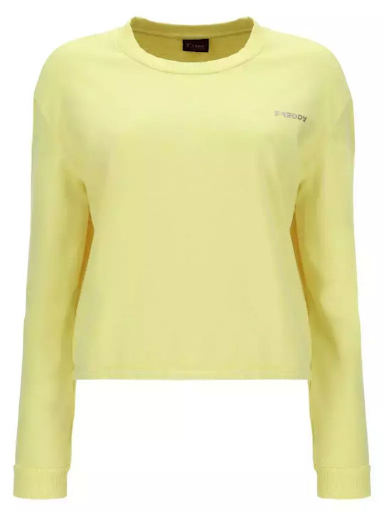 Freddy Sweatshirt Yellow