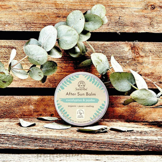 Suntribe After Sun Balm After Sun Cream with Jojoba 100ml