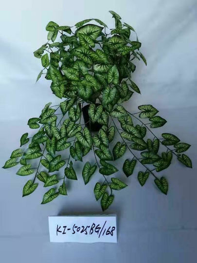 Boston Ivy Supergreens