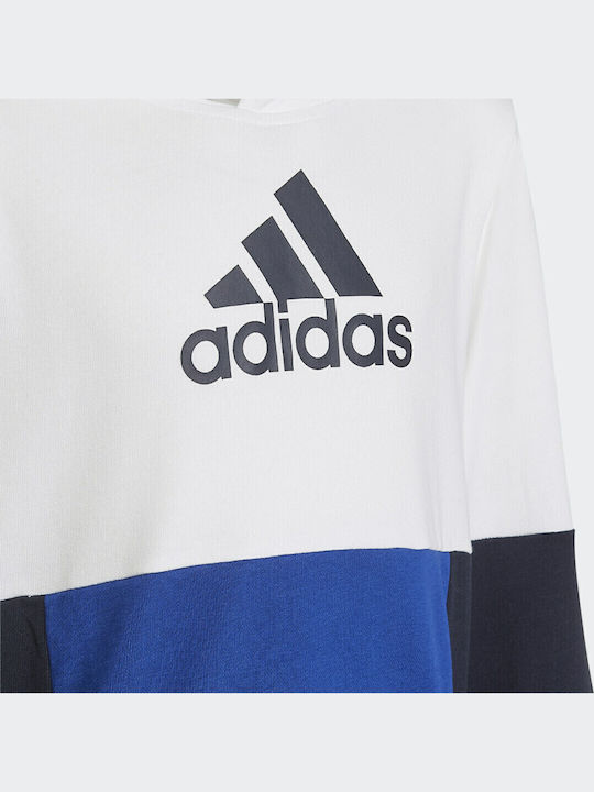 Kinder-Sweatshirt mit Kapuze Mehrfarbig Colorblock