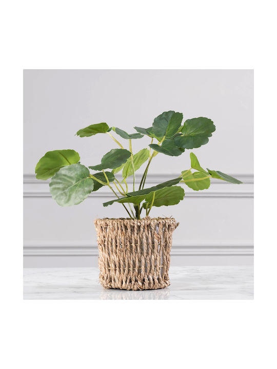 Supergreens Artificial Plant in Small Pot Γεράνι Green 33cm 1pcs