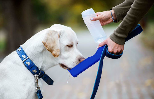 Comfy Flasche aus Propylen Wasser für Hund 500ml in Blau Farbe