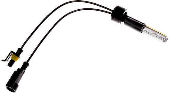 Carner Lamps Car Xenon 6000K Cold White 1pcs