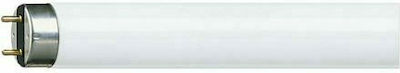 Philips Fluorescent Lamp with Shape T8 18W