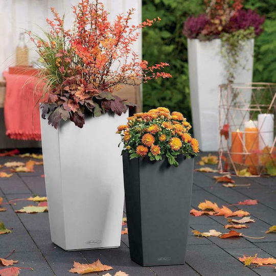 Lechuza Cubico Self-watering Pot Plastic 30x30x56cm.