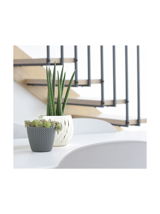 Prosperplast Splofy planter Pot Plastic 29.5x29.5x24.9cm.