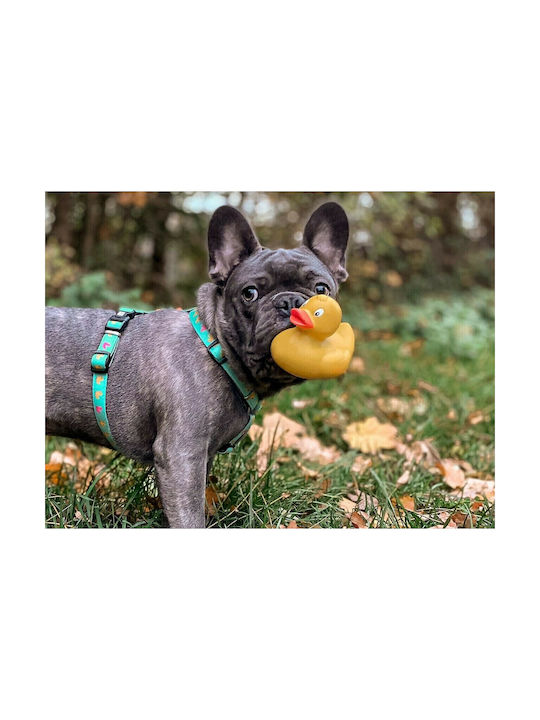 Max & Molly Dog Harness Ducklings Small 15mm x 41-52cm MM0367