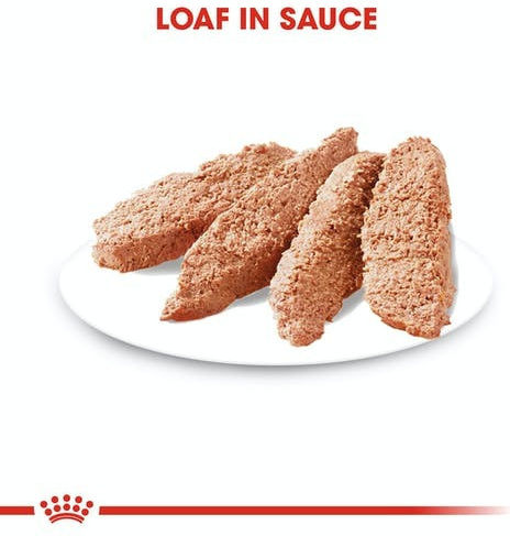 Royal Canin Exigent Υγρή Τροφή Σκύλων σε Φακελάκι με Πουλερικά 12x85gr