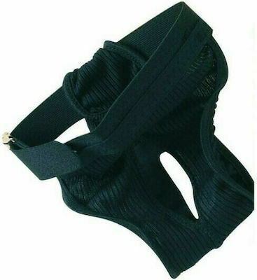 Pet Camelot Protective Pants Βρακάκι Σκύλου Περιόδου Small 1τμχ