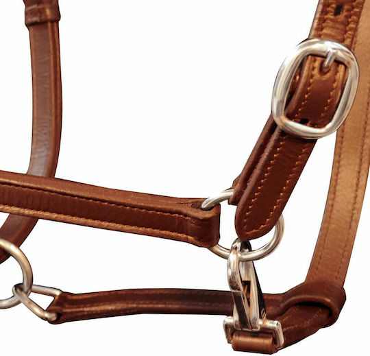 vidaXL Horse Halter Horse Accessories 90886