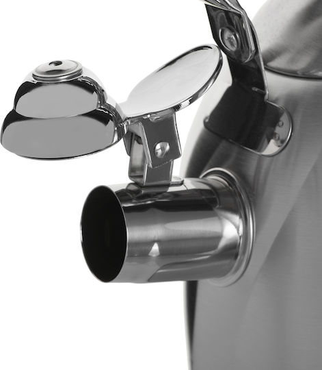 Maestro Βραστήρας Ανοξείδωτος Ασημί 3000ml