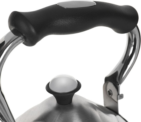 Maestro Βραστήρας Ανοξείδωτος Ασημί 3000ml