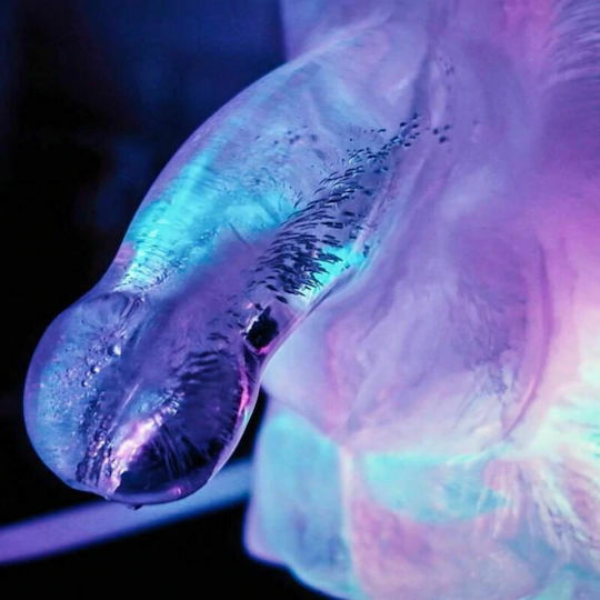 Play Wiv Me Huge Penis Ice Luge Mold Αστείο Sexy Δώρο