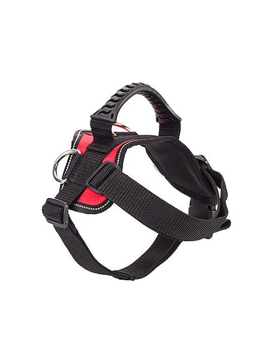 Pet Interest Σαμαράκι Σκύλου Εκπαιδευτικό 3D Rings Κόκκινο Medium 70 - 90cm