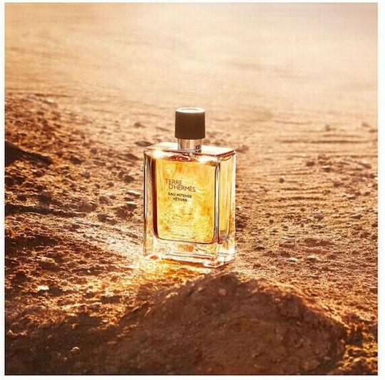 Hermes Terre D' hermes Eau Intense Vetiver Eau de Parfum 200ml