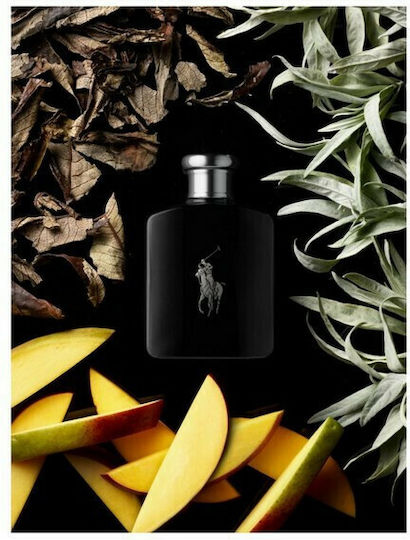 Ralph Lauren Polo Black Eau de Toilette 75ml