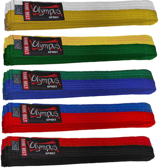 Olympus Sport Martial Arts Belt Green/Blue Green/Blue