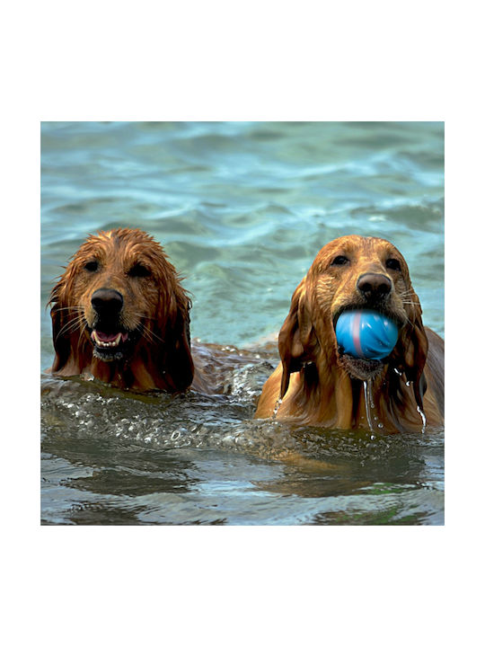 Doggy Village Interactive Balloon Топка Игра Куче Син 1бр