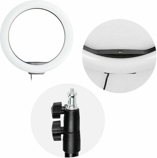 Led Full Color RGB Ring Light 30.5cm με Τρίποδο Δαπέδου και Βάση για Κινητό