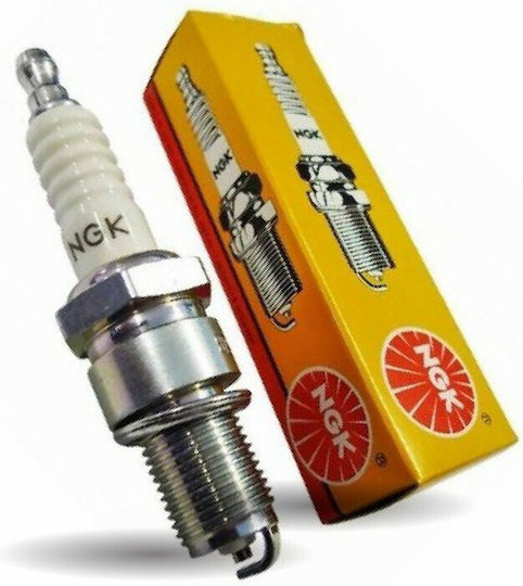 NGK Motorcycle Spark Plugs