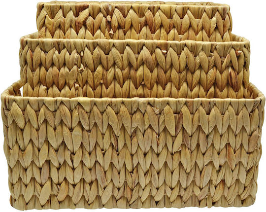 Ankor Καλάθι Αποθήκευσης Ψάθινο Καφέ 35x25x16cm 3τμχ