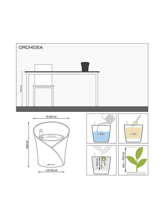 Lechuza Orchidea Self-watering Pot Plastic 18x18x20cm.